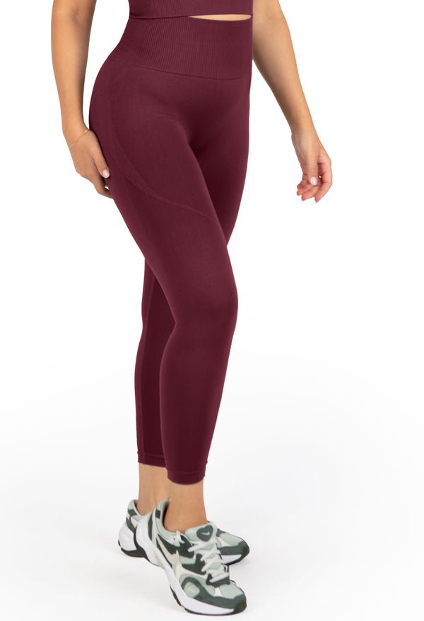 Seamless High Waist Full Length Leggings